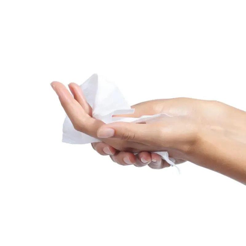 10 Lingettes magiques biodégradables* New