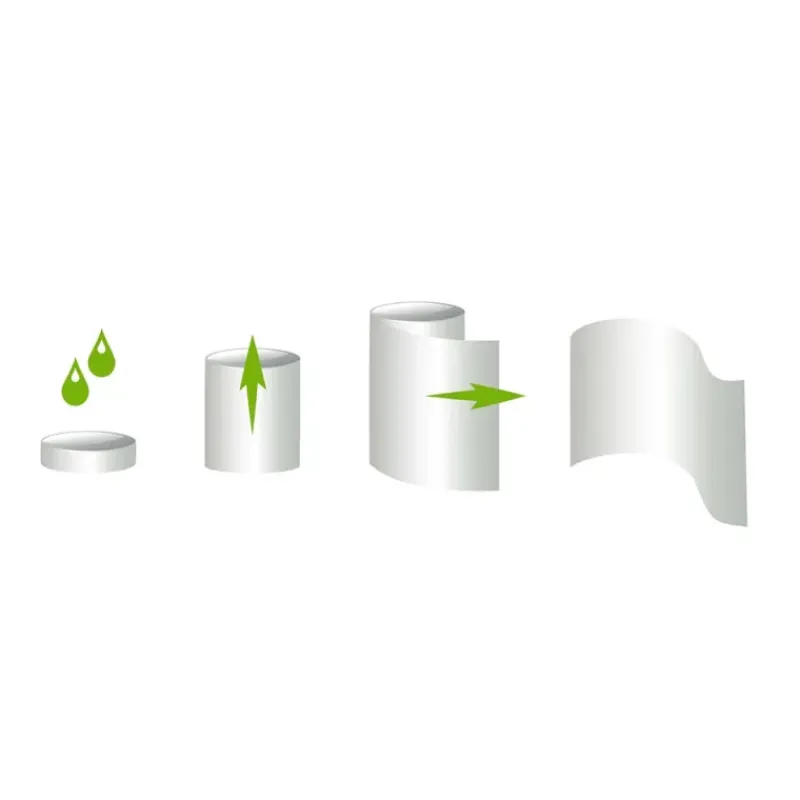 10 Lingettes magiques biodégradables* New