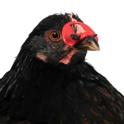 100 lunettes anti-piquage petit modèle* Best