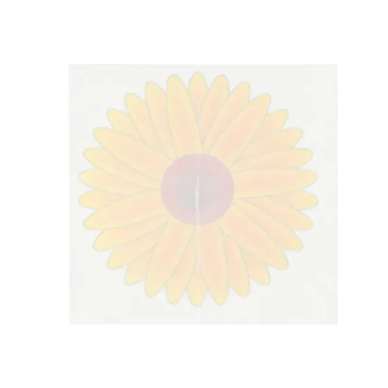 4 Pièges à mouche adhésif sans produits chimiques 9,5 x9,5cm* Discount