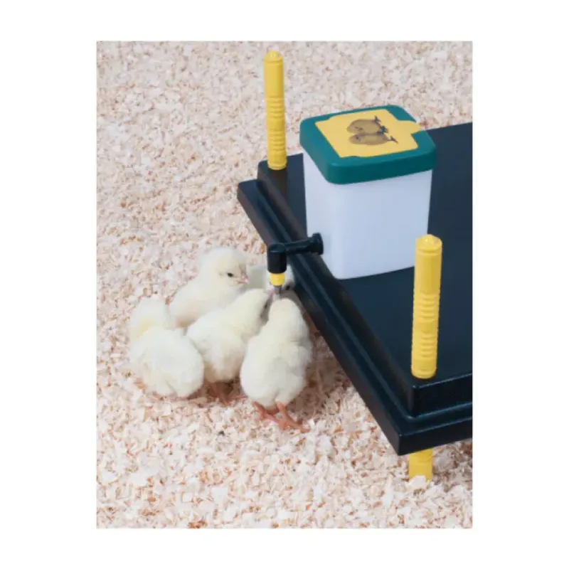 Abreuvoir à pipette poussins et cailles 0,5 L*Olba Online