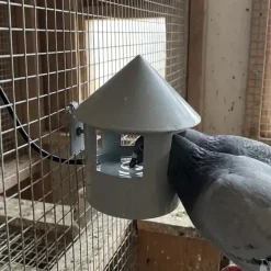 Abreuvoir automatique à grit pour pigeon Diam. 22* Discount