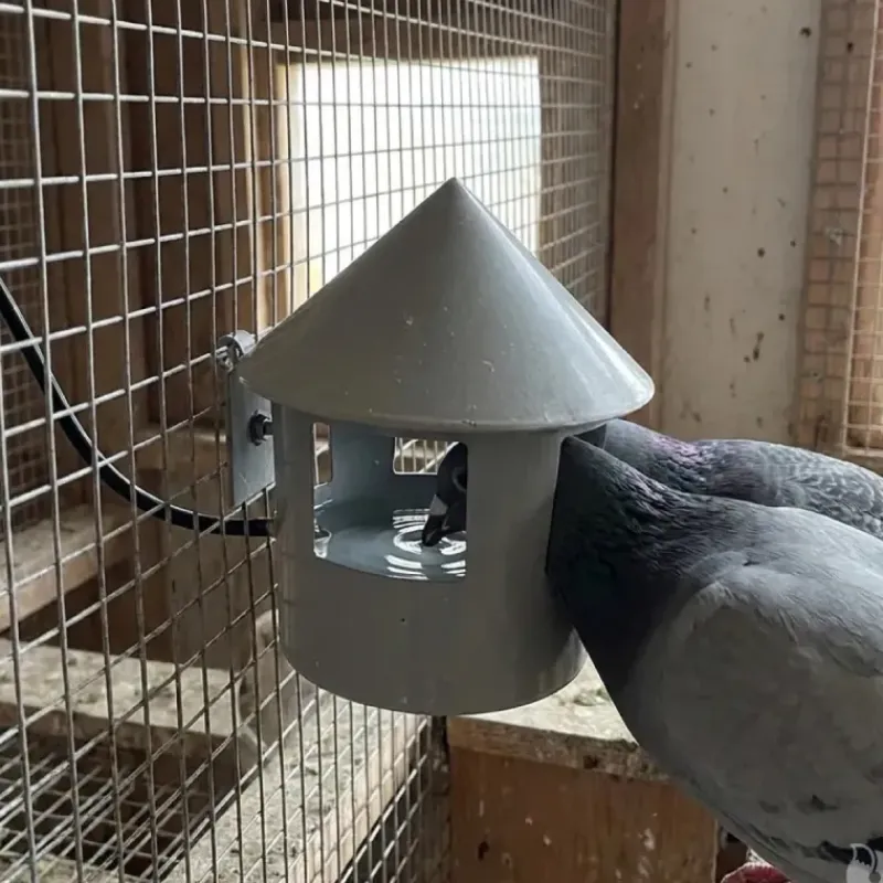 Abreuvoir automatique à grit pour pigeon Diam. 22* Discount