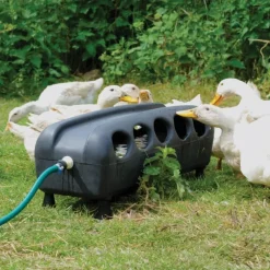 Abreuvoir automatique canards et oies 75 X 25 X 27 cm* Discount