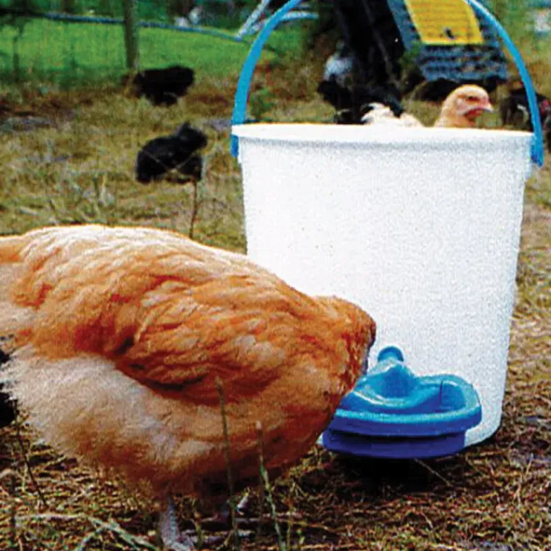 Abreuvoir Automatique Maxi Cup*