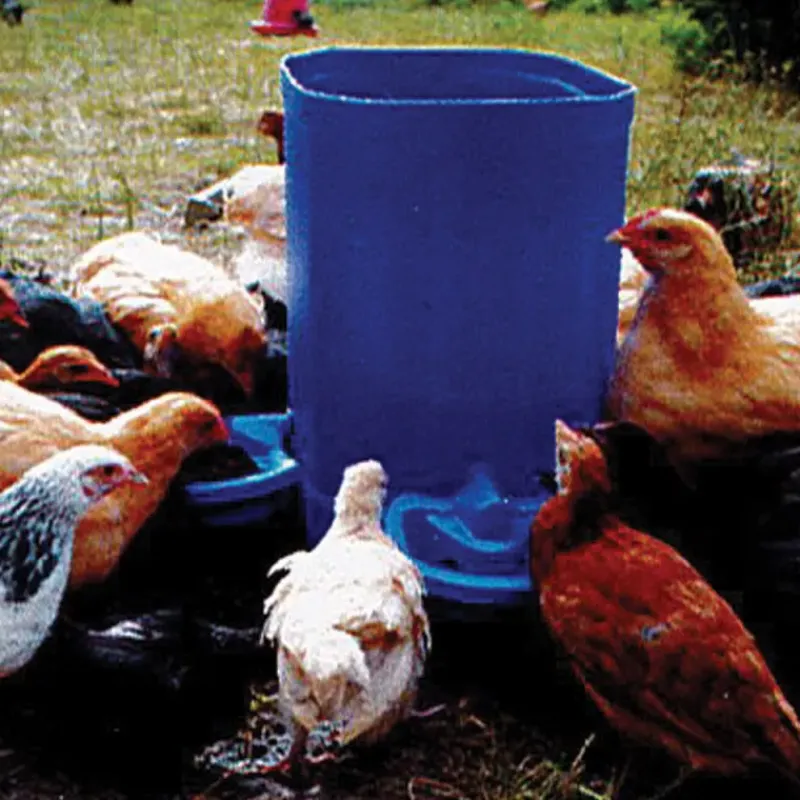 Abreuvoir Automatique Maxi Cup*