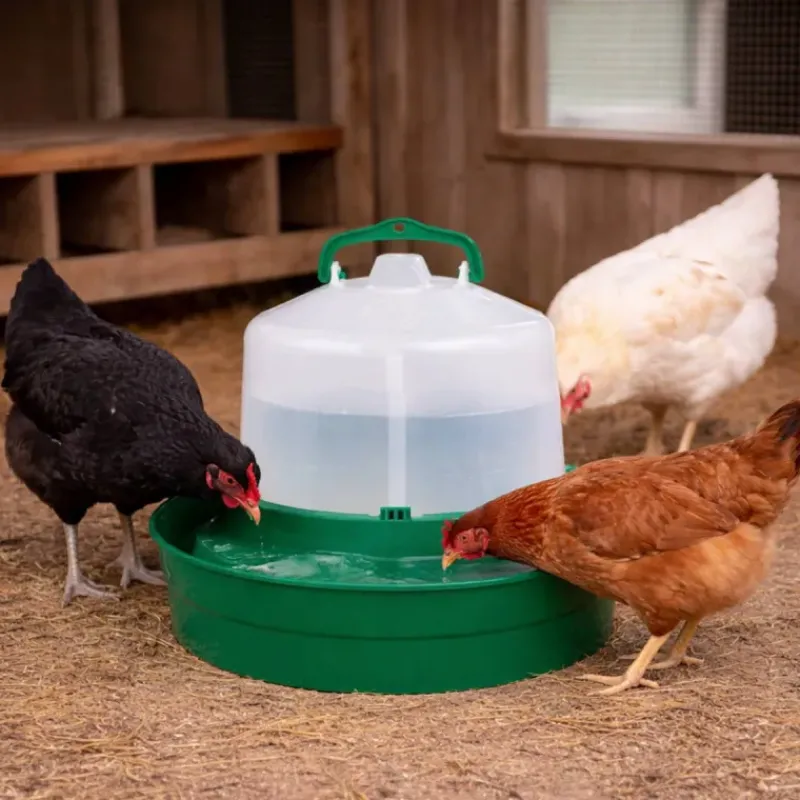 Abreuvoir base profonde pour volailles 5 litres* Discount