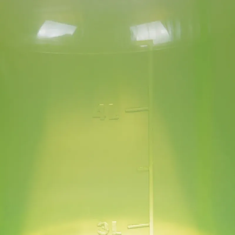 Abreuvoir gradué sur pied avec poignée vert 5L*GAUN Outlet