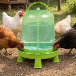 Abreuvoir gradué sur pied avec poignée vert 10L*GAUN Online