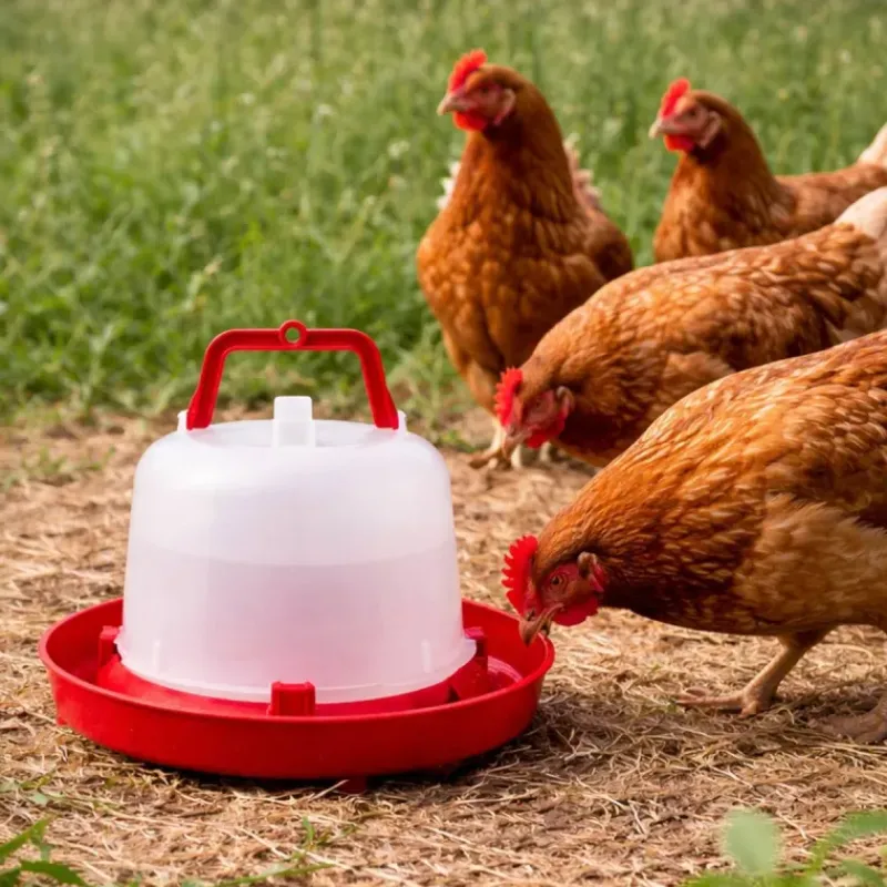 Abreuvoir plastique poule premium robuste avec poignée 5 L*River Systems Hot