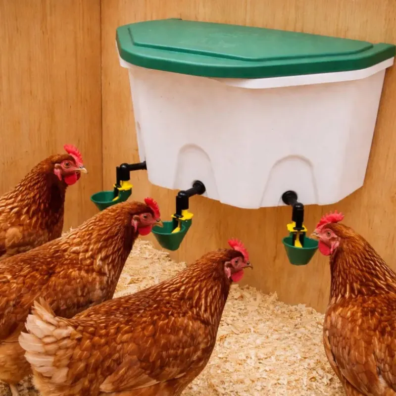 Abreuvoir poule automatique Aviaqua 8L à coupelles avec flotteur*Olba Best