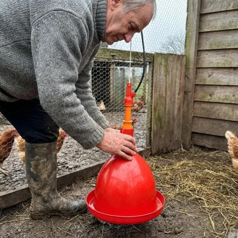 Abreuvoir poules et volailles automatique à suspendre*
