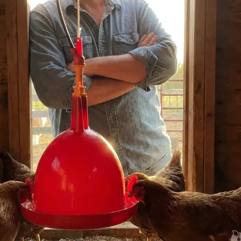 Abreuvoir poules et volailles automatique à suspendre*