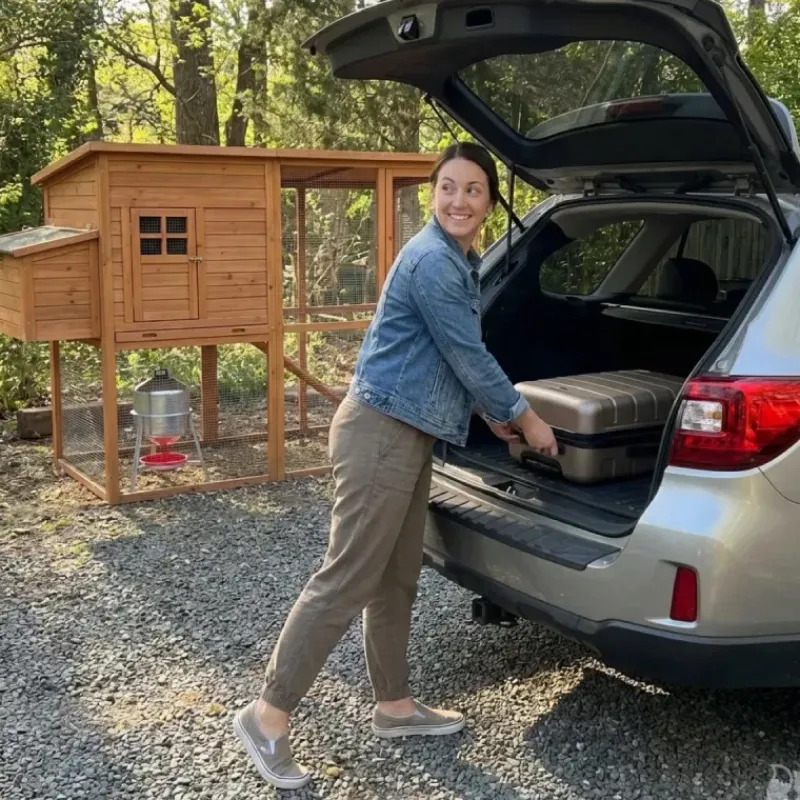 Abreuvoir poules et volailles métal galvanisé 30 L sur pieds à l'unité* Discount