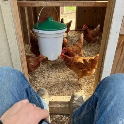 Abreuvoir seau 3 pipettes volailles 12L avec kit suspension*Olba Clearance