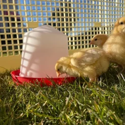 Abreuvoir siphoïde 10 L plastique*River Systems Best