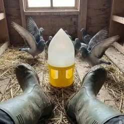 Abreuvoir siphoïde pour pigeons 5L*River Systems New