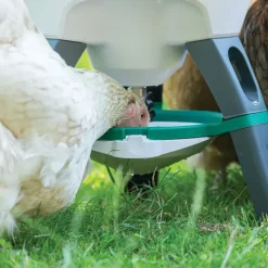 Abreuvoir sur pieds Optimus plastique 25L réservoir démontable*Olba Outlet