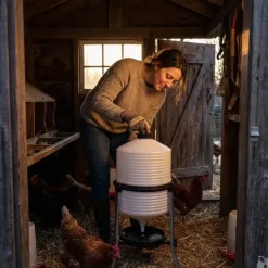 Abreuvoir volaille plastique sur pieds 30 L*River Systems Online