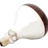 Ampoule infrarouge pour éleveuse 60 W* Sale