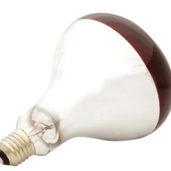 Ampoule infrarouge pour éleveuse 60 W* Sale