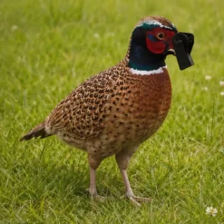 Antipicage Speed-bec petit modèle lot de 100* Outlet