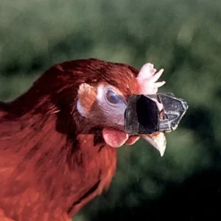 Antipicage Speed-lune par lot de 5* Hot