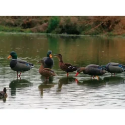 Appelant colvert femelle cou droit sur pied en acier* Online