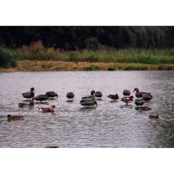 Appelant colvert mâle cou droit sur pied en acier* Best