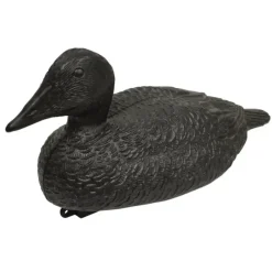 Appelant eider moussé avec quille lestée* Sale