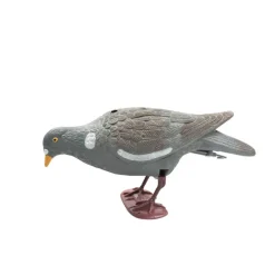 Appelant pigeon qui picore* Discount