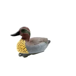 Appelant Sarcelle d'hiver mâle HD 30 x 17cm*Ducatillon New