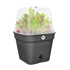Bac de culture carré ® 30x25x30cm avec couvercle aéré - Noir*Elho Sale