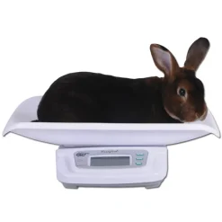 Balance à lapin 20kg* Best