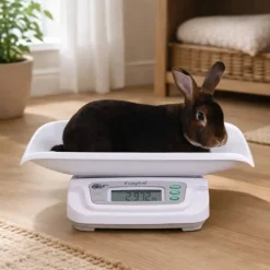 Balance à lapin 20kg* Best