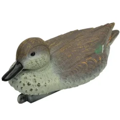 Blette de Sarcelle d'hiver femelle résistant* Sale