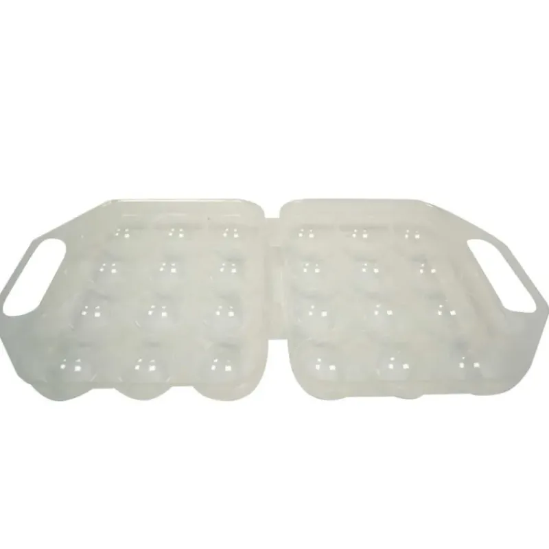 Boite à oeuf plastique 12 oeufs par lot de 3* Outlet