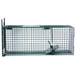 Boîte à fauves 1 entrée pour rats 22 x 24 x 61 cm à l'unité* Sale