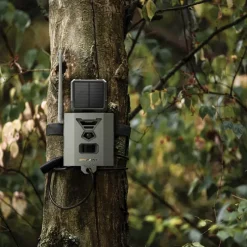 Boîtier sécurité FLEX SB-500 acier HQ serrure pour protection*Spypoint Outlet