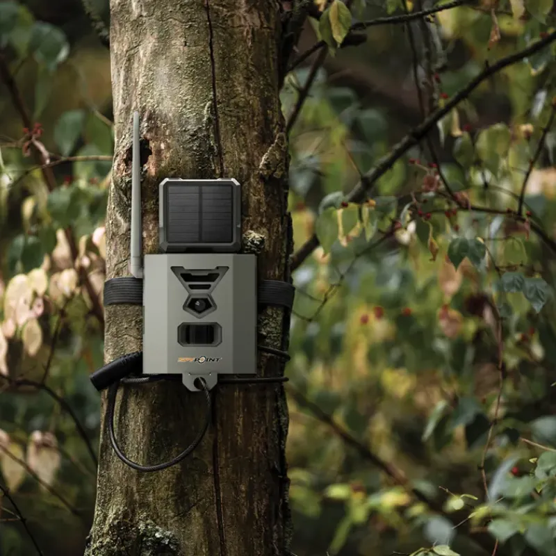 Boîtier sécurité FLEX SB-500 acier HQ serrure pour protection*Spypoint Outlet