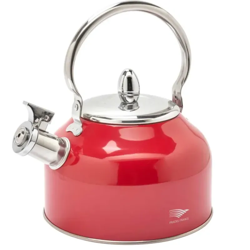 Bouilloire à sifflet 2,5L induction tous feux épaisseur 0,35mm*Pradel France New