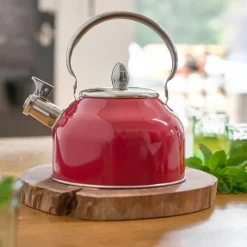 Bouilloire à sifflet 2,5L induction tous feux épaisseur 0,35mm*Pradel France New