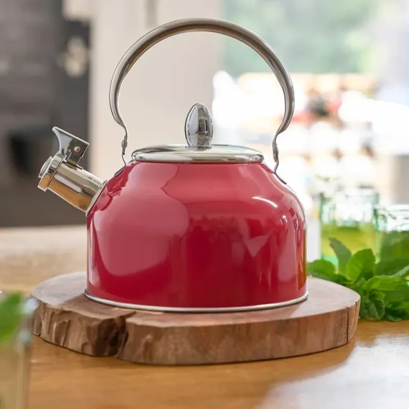 Bouilloire à sifflet 2,5L induction tous feux épaisseur 0,35mm*Pradel France New