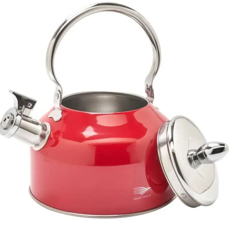Bouilloire à sifflet 2,5L induction tous feux épaisseur 0,35mm*Pradel France New