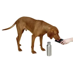 Bouteille de voyage pour chien en inox* Best