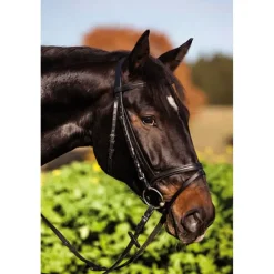 Bridon standard cuir brun shetland* Best