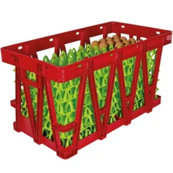 Caisse de transport pour plateaux à oeufs* Discount