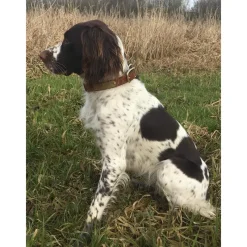 Collier à graver sur plaque laiton cuir noisette 4 tailles* Online