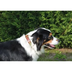 Collier à graver sur plaque laiton cuir noisette 4 tailles* Online