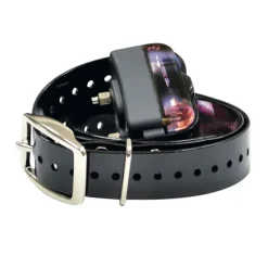 Collier de dressage DT-2000* Outlet